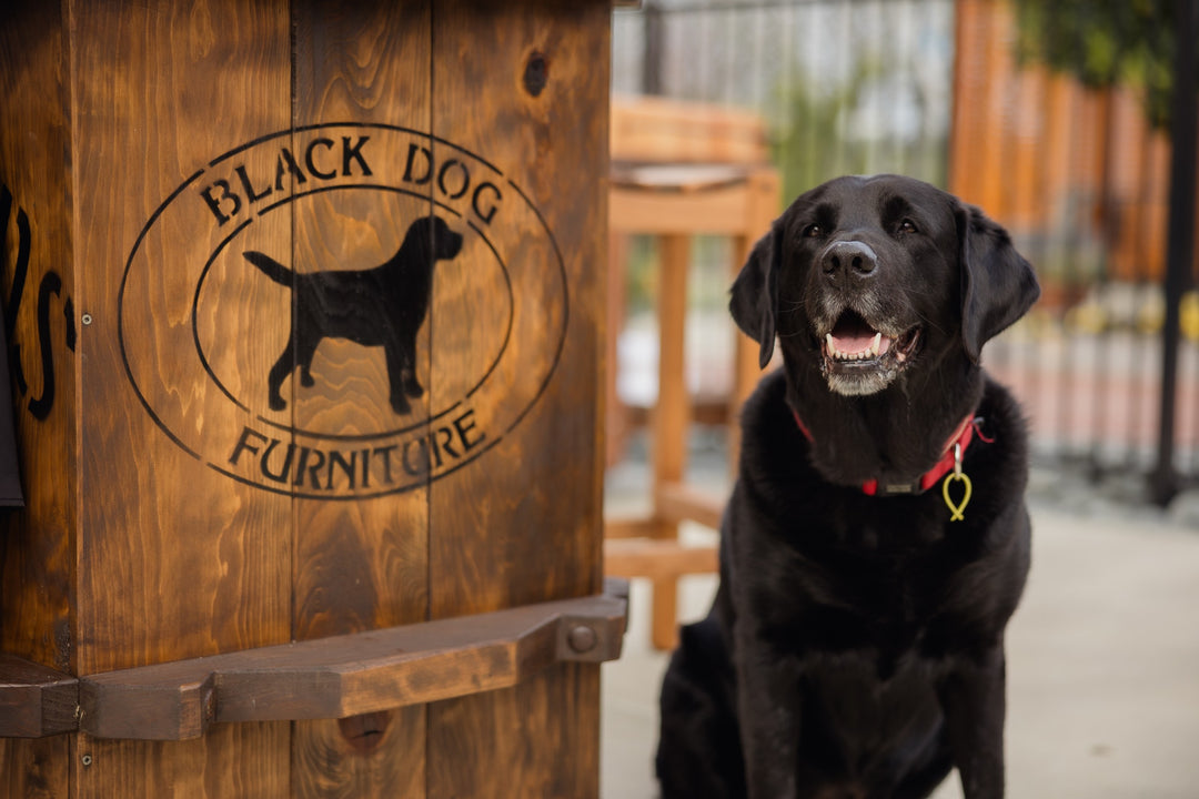 Bean the black labrador beside a branded woolpress leaner